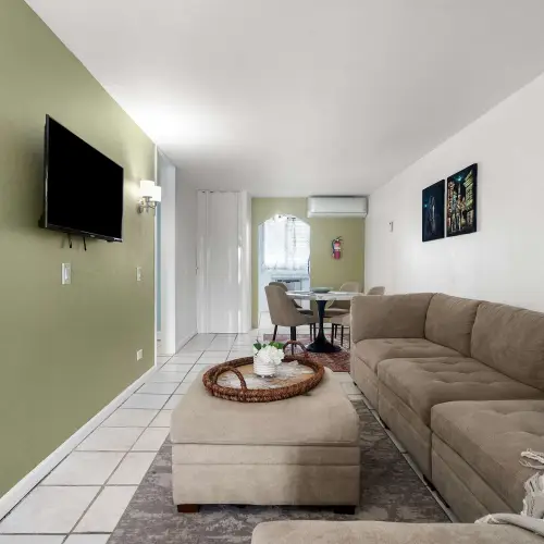Living room with sofa, rug and TV