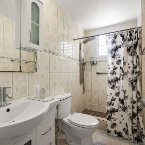 Bathroom with vanity, toilet and shower