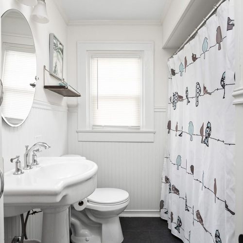 Bathroom: Refresh with a bright ambiance, whimsical bird decor, and modern fixtures!