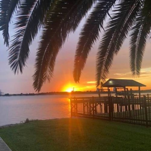Palm tree sunset silhouette over the river