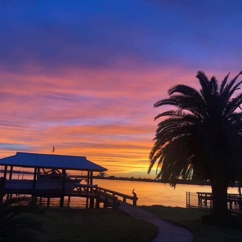 Palm tree sunset view near the dock