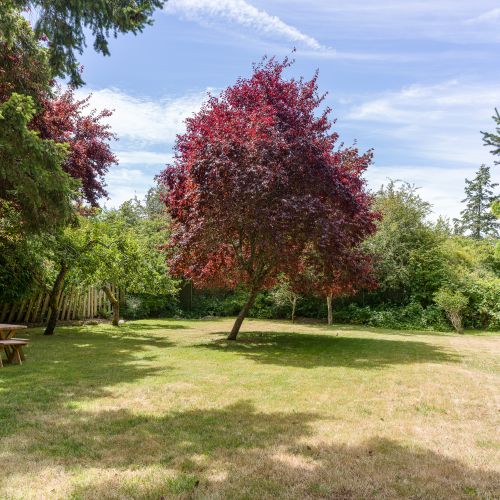 Enjoy a large private lawn surrounded by mature trees, perfect for outdoor games, picnics, or simply relaxing in the peaceful island setting.