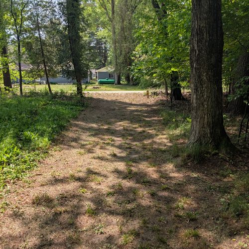 EXTERIOR: The outwards facing view from the primary driveway of the property