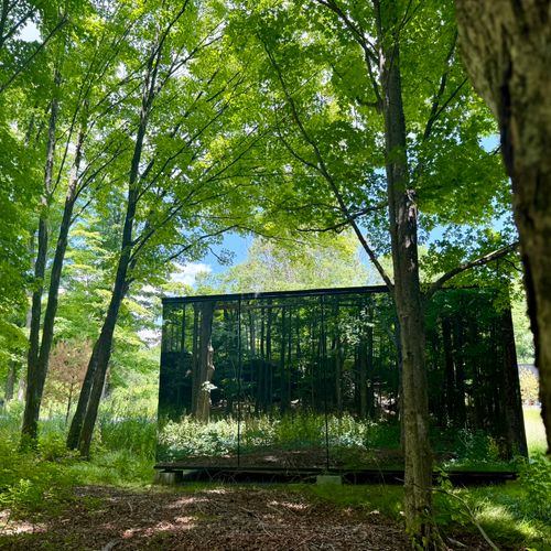 Escape into nature at The Heron Guest House, a stunning glass retreat surrounded by serene forest views.