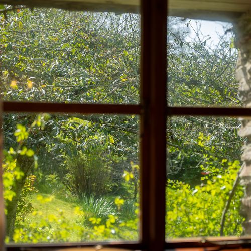 1495d2a8 c1f3 43b4 8bd8 6d739d3dd550 homerunner