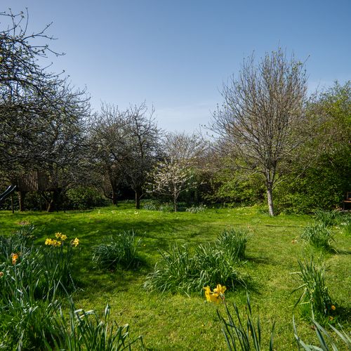 19d00081 2836 4902 8b12 73dda5804767 homerunner