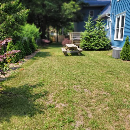 EXTERIOR: The large and spacious backyard of the main house with a picnic table