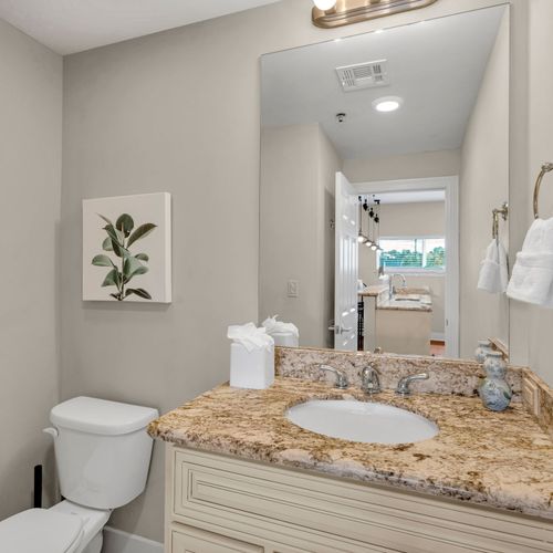 Granite vanity with botanical wall art