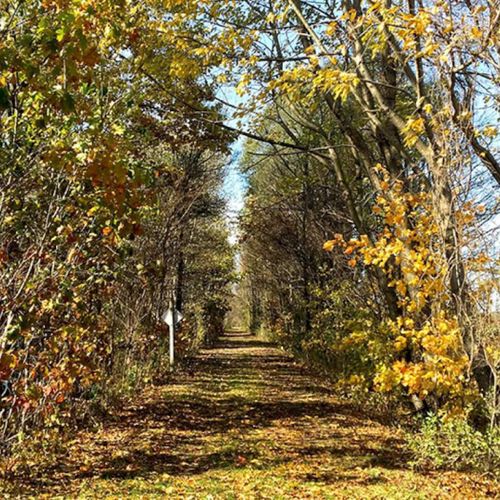 EXTERIOR:  The Van Buren Trail, which runs right through the property.