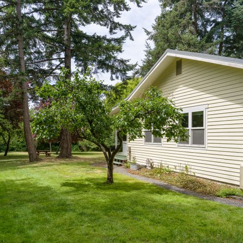 The cottage is surrounded by lush greenery, open lawn, and towering evergreens, offering plenty of space to unwind in nature.
