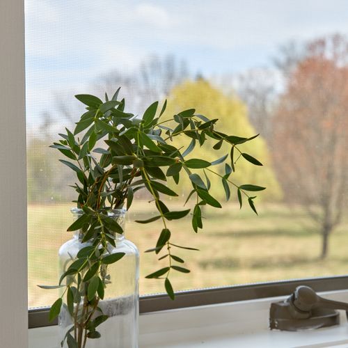 Views from the first bedroom in the guest house, looking out onto the meadow.