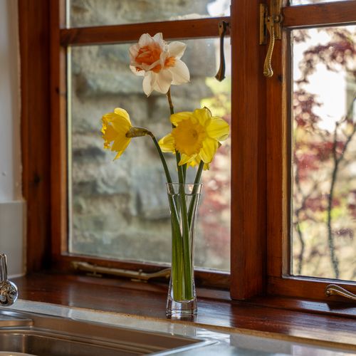 5aaa695e 4221 4fa2 9681 7a3049666cff homerunner