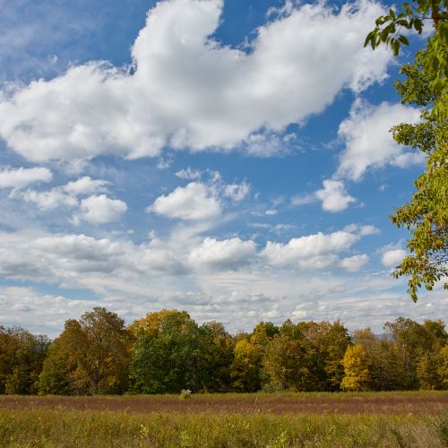 Meadows and mountains on display as you walk down this quiet country road.