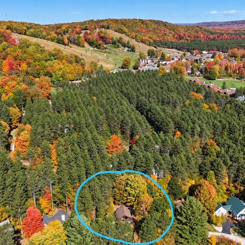 OVERVIEW:  Aerial photo of the chalet (circled in blue) with Crystal Mountain Resort in the background.