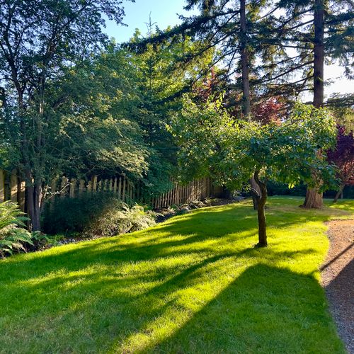 Wander through the beautifully landscaped yard and enjoy nature.
