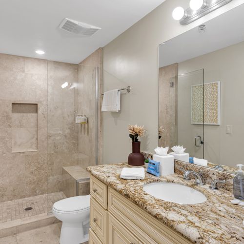 Modern bath with walk-in shower and granite