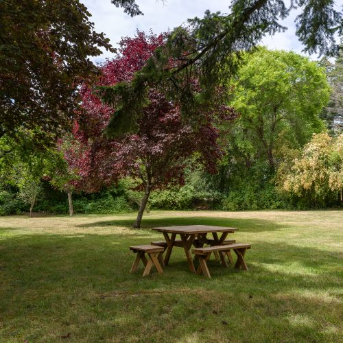 Relax in the spacious backyard, complete with a picnic table and surrounded by mature trees for a peaceful outdoor setting.