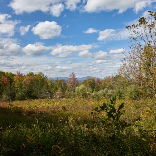 Meadows and mountains on display as you walk down this quiet country road.