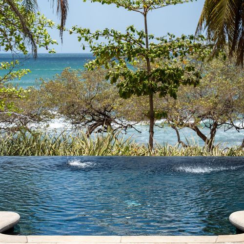 Beachfront infinity pool framed by palms, the Pacific just past the break - your daily view from Casa Libelula.