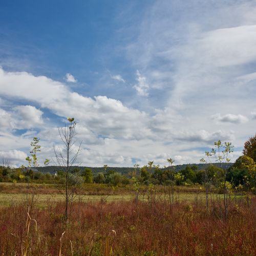 Meadows and mountains on display as you walk down this quiet country road.