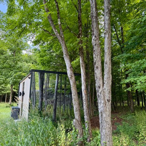 The glass cabin all but vanishes into the surrounding forest.