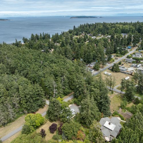 Surrounded by towering evergreens, with the shoreline and nearby neighborhood just beyond the trees.