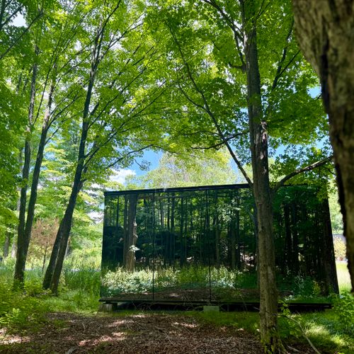 The mirrored guest house reflects the forest back on itself — a hidden retreat.