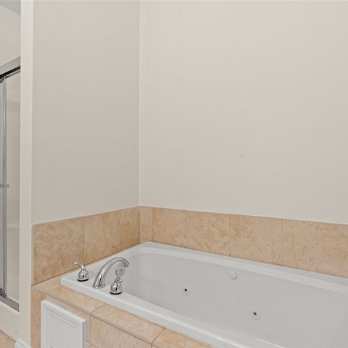 Shower and Jacuzzi Tub