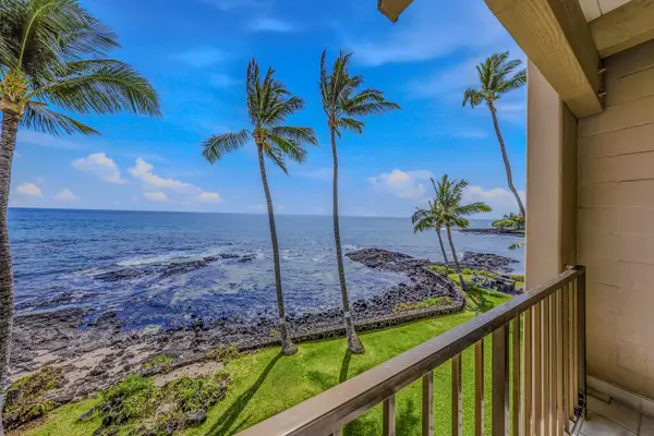 Swaying Palms And Blue Skies Out Every Window