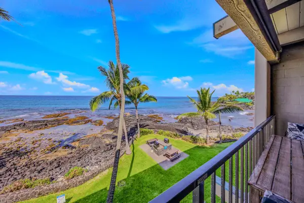 Private balcony view looking out at the lush green lawn, palm trees, and the beautiful ocean. 🌊