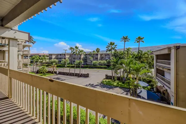 Private balcony perspective overlooking the lush resort grounds and palm trees. 🌴