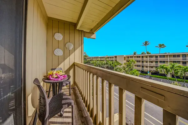 Sip Your Morning Coffee Surrounded By Palm Trees