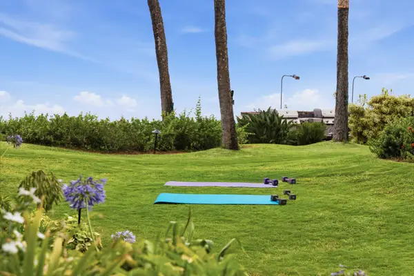 Expansive front lawn ideal for outdoor yoga