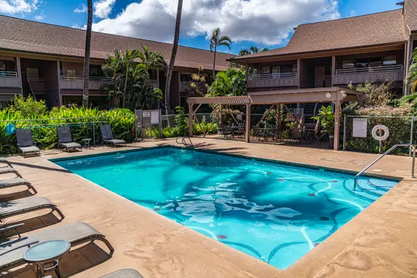 Sparkling Pool Surrounded By Tropical Gardens