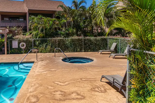 Sparkling Pool Surrounded By Tropical Gardens