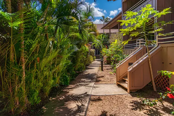 Tropical Garden Pathway To Your Island Escape
