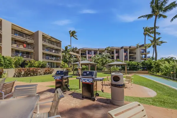 Community Barbecue Grills Surrounded By Lush Tropical Greenery