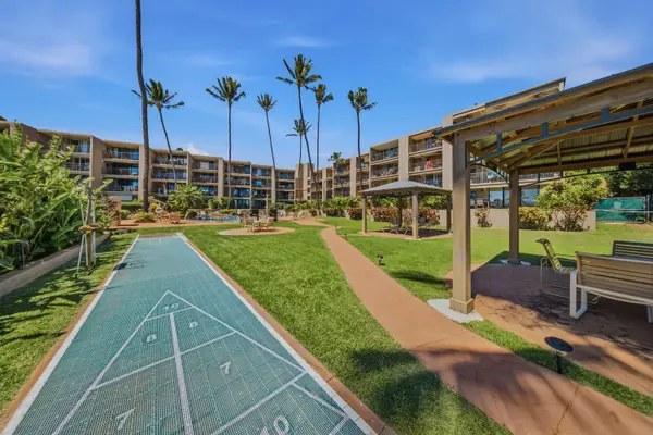 On-Site Shuffleboard In Lush Tropical Surroundings