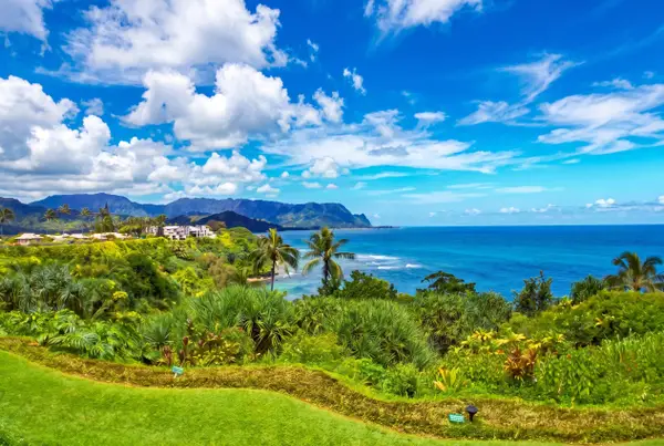 Expansive coastal scenery from the property