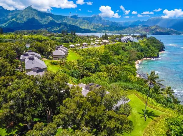 Aerial coastline framed by tropical greenery