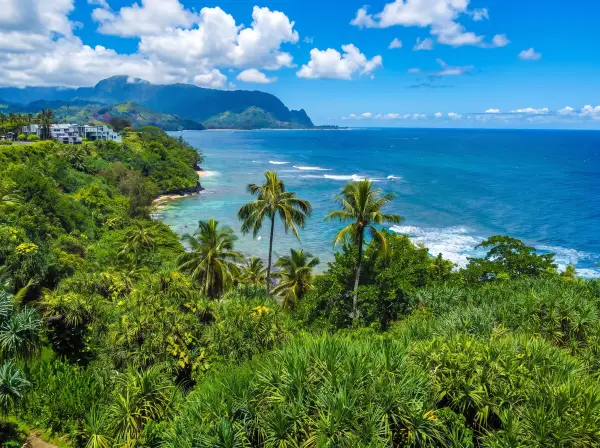 Lush coastline with panoramic ocean views