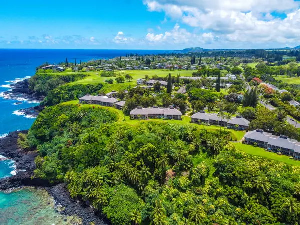 Aerial overview of the coastal neighborhood