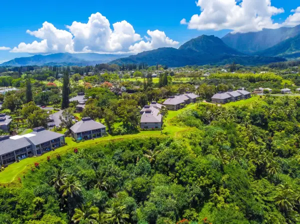 Mountain and tropical landscape from above