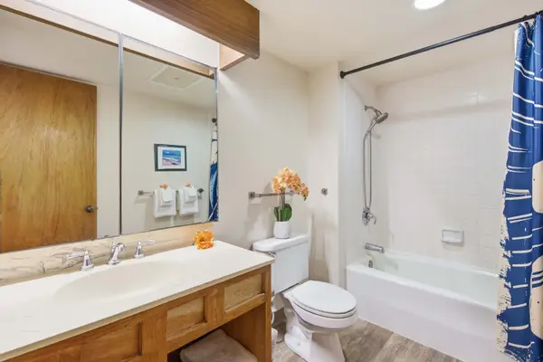 Fresh And Modern Guest Bathroom
