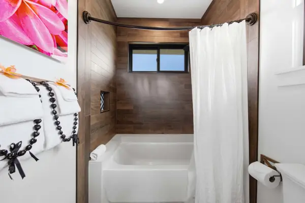 Combination shower bath