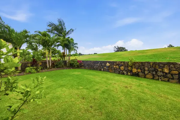 Large backyard to enjoy