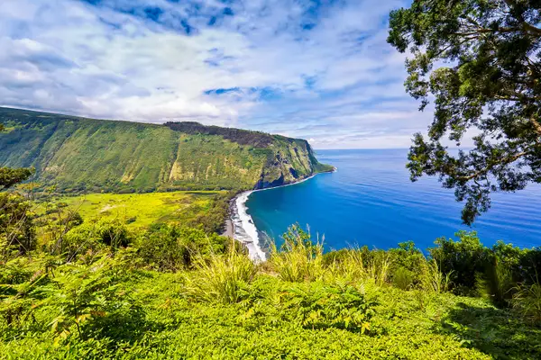 Stunning Coastal Cliffside Views Overlooking Bright Blue Ocean Waters