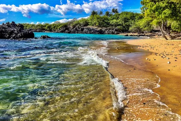 Pristine Sandy Beach and Clear Blue Waters Framed by Coastal Greenery