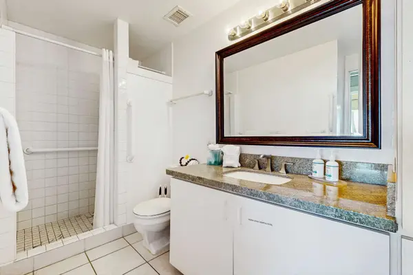 Full Bathroom Overview Featuring Walk-In Shower, Vanity with Overhead Lighting, and Toilet