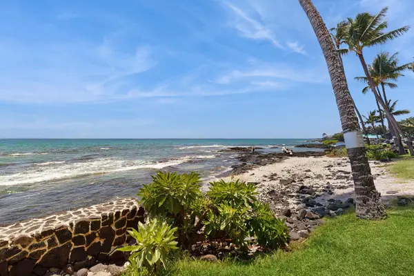 ​Direct Oceanfront View Showing Stone Seawall, Lush Greenery, and Palm Trees
